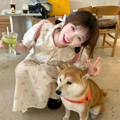 春光乍泄